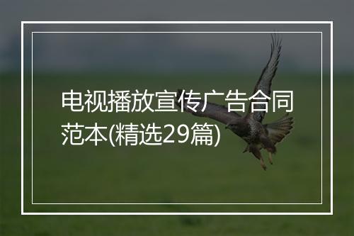 电视播放宣传广告合同范本(精选29篇)