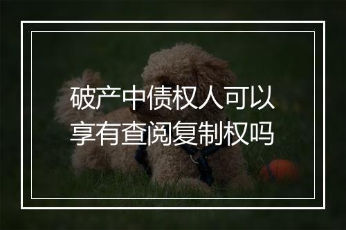 破产中债权人可以享有查阅复制权吗