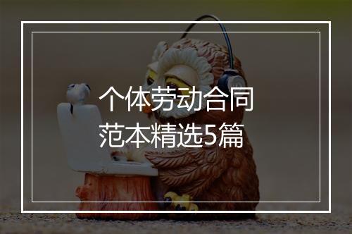 个体劳动合同范本精选5篇