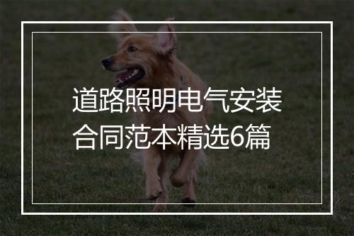 道路照明电气安装合同范本精选6篇