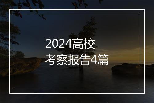 2024高校考察报告4篇