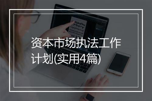 资本市场执法工作计划(实用4篇)