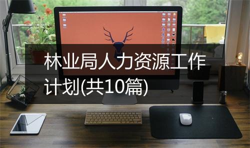 林业局人力资源工作计划(共10篇)