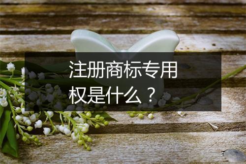 注册商标专用权是什么？