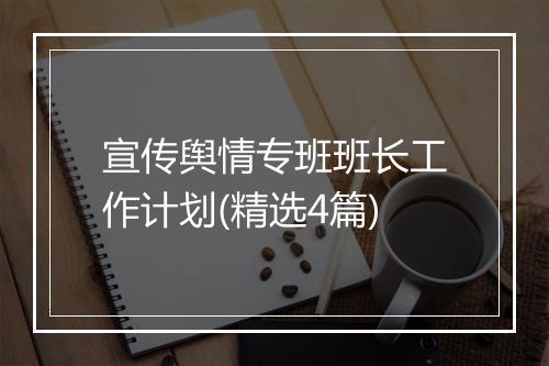 宣传舆情专班班长工作计划(精选4篇)