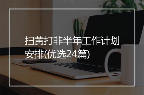 扫黄打非半年工作计划安排(优选24篇)