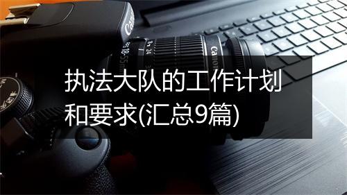 执法大队的工作计划和要求(汇总9篇)