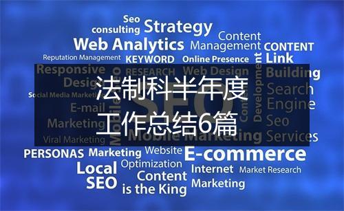 法制科半年度工作总结6篇