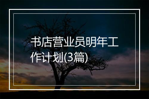 书店营业员明年工作计划(3篇)