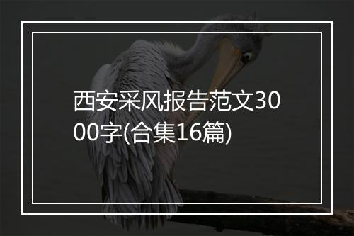 西安采风报告范文3000字(合集16篇)