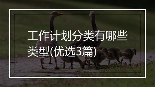 工作计划分类有哪些类型(优选3篇)