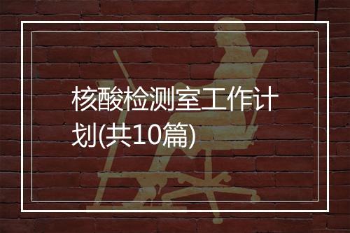核酸检测室工作计划(共10篇)