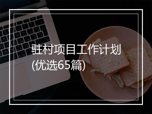 驻村项目工作计划(优选65篇)