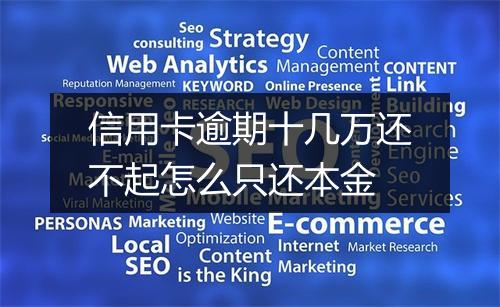 信用卡逾期十几万还不起怎么只还本金