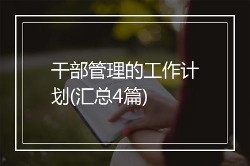 干部管理的工作计划(汇总4篇)