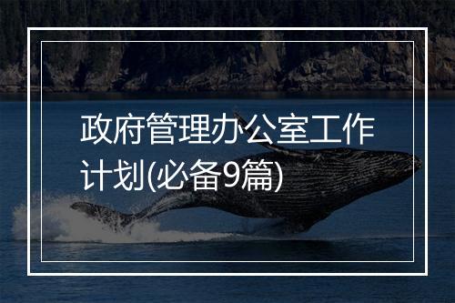 政府管理办公室工作计划(必备9篇)