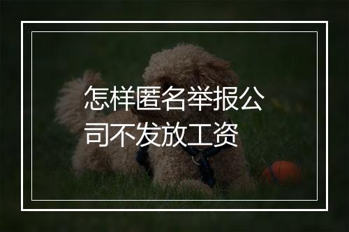 怎样匿名举报公司不发放工资