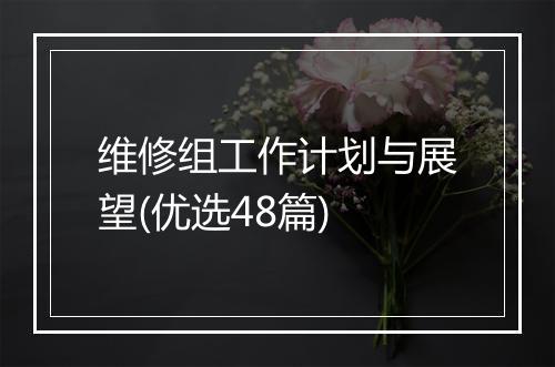 维修组工作计划与展望(优选48篇)