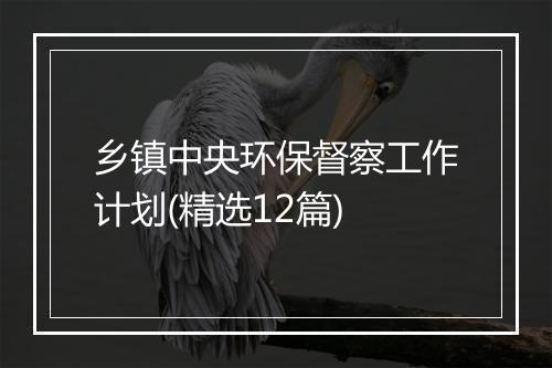 乡镇中央环保督察工作计划(精选12篇)
