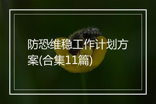 防恐维稳工作计划方案(合集11篇)