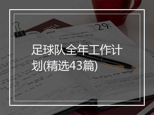 足球队全年工作计划(精选43篇)