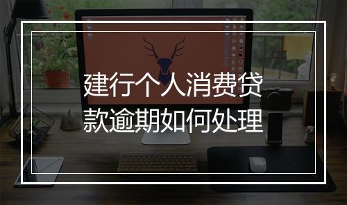 建行个人消费贷款逾期如何处理
