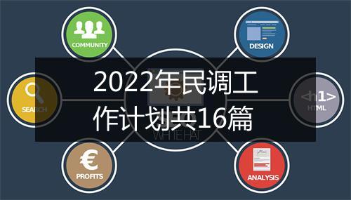2022年民调工作计划共16篇