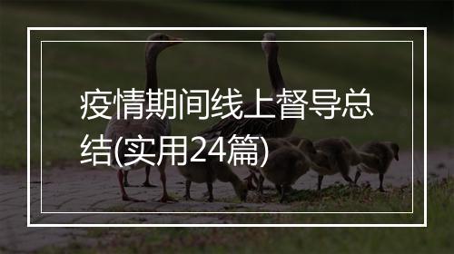 疫情期间线上督导总结(实用24篇)
