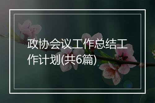 政协会议工作总结工作计划(共6篇)