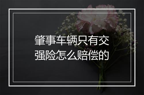 肇事车辆只有交强险怎么赔偿的