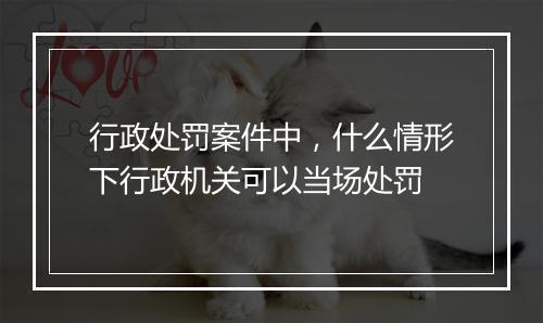 行政处罚案件中，什么情形下行政机关可以当场处罚