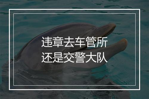 违章去车管所还是交警大队