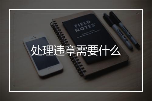 处理违章需要什么