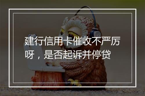 建行信用卡催收不严厉呀，是否起诉并停贷