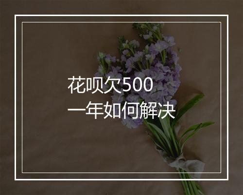 花呗欠500一年如何解决