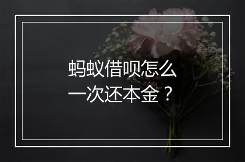 蚂蚁借呗怎么一次还本金？