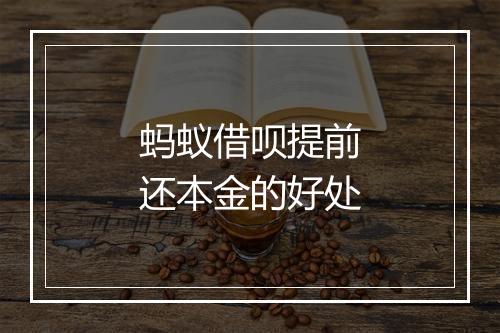 蚂蚁借呗提前还本金的好处