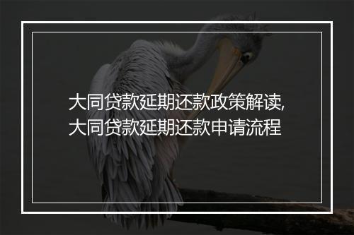 大同贷款延期还款政策解读,大同贷款延期还款申请流程