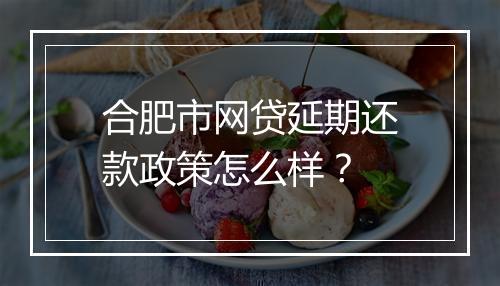 合肥市网贷延期还款政策怎么样？