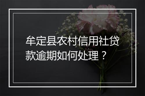 牟定县农村信用社贷款逾期如何处理？