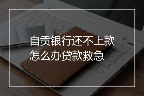 自贡银行还不上款怎么办贷款救急