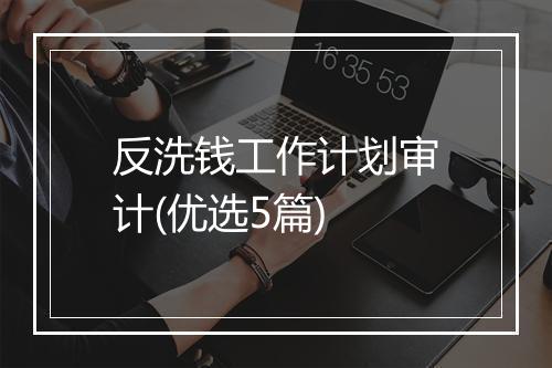反洗钱工作计划审计(优选5篇)
