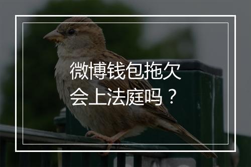 微博钱包拖欠会上法庭吗？