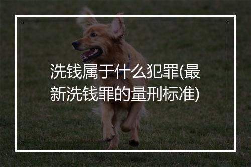 洗钱属于什么犯罪(最新洗钱罪的量刑标准)