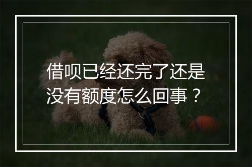 借呗已经还完了还是没有额度怎么回事？