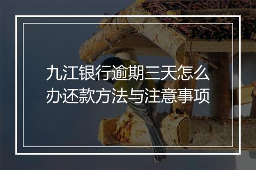 九江银行逾期三天怎么办还款方法与注意事项