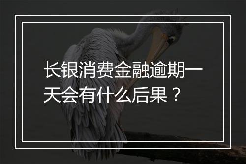 长银消费金融逾期一天会有什么后果？