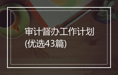 审计督办工作计划(优选43篇)