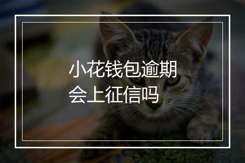 小花钱包逾期会上征信吗
