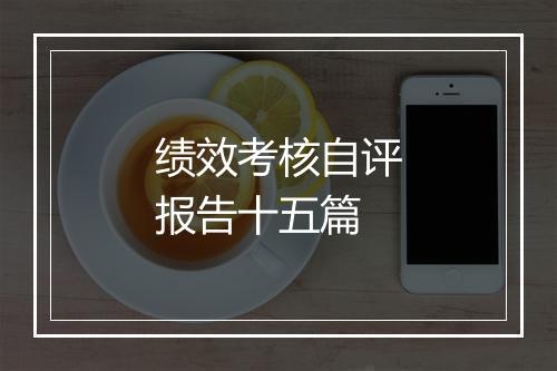 绩效考核自评报告十五篇